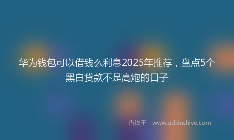 华为钱包可以借钱么利息2025年推荐，盘点5个黑白贷款不是高炮的口子