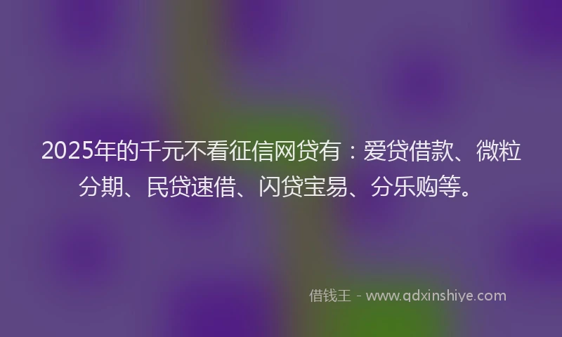 2025年的千元不看征信网贷有：爱贷借款、微粒分期、民贷速借、闪贷宝易、分乐购等。