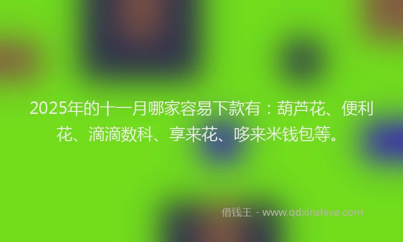 2025年的十一月哪家容易下款有：葫芦花、便利花、滴滴数科、享来花、哆来米钱包等。
