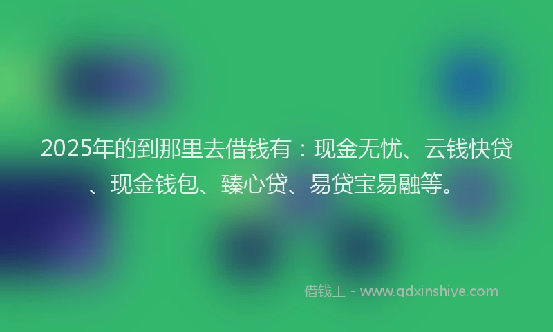 2025年的到那里去借钱有：现金无忧、云钱快贷、现金钱包、臻心贷、易贷宝易融等。