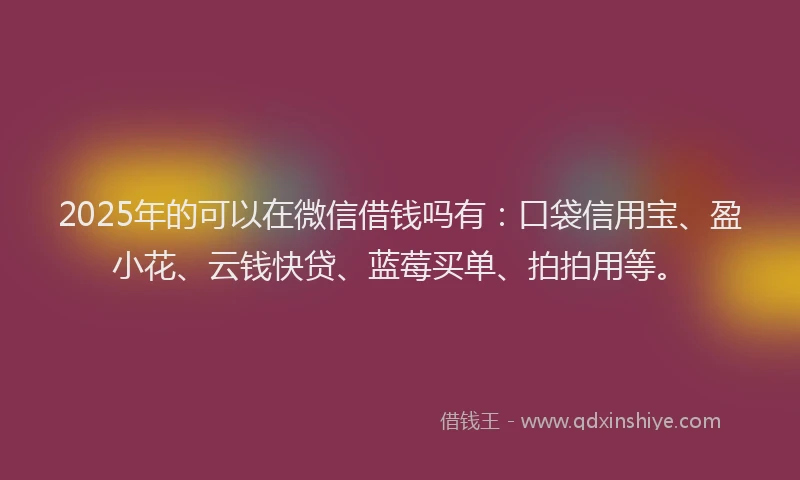 2025年的可以在微信借钱吗有：口袋信用宝、盈小花、云钱快贷、蓝莓买单、拍拍用等。