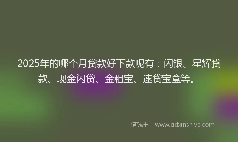 2025年的哪个月贷款好下款呢有：闪银、星辉贷款、现金闪贷、金租宝、速贷宝盒等。