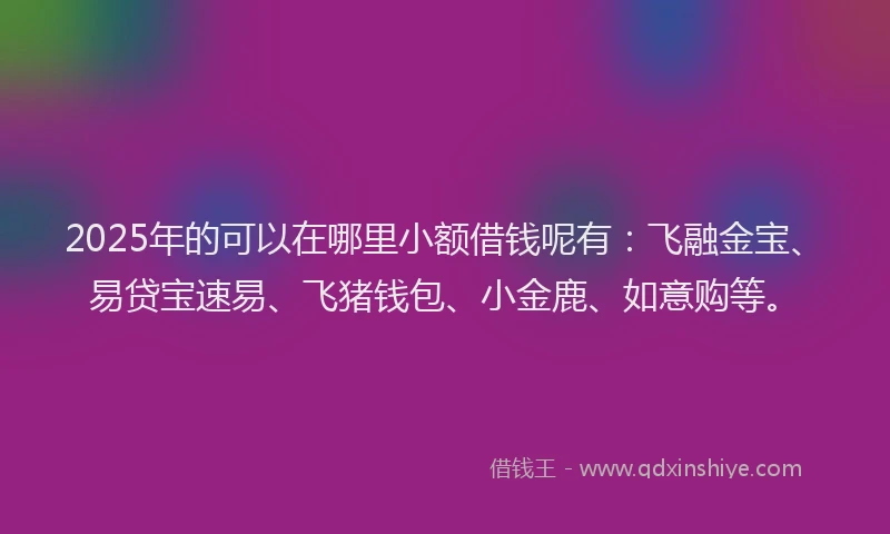 2025年的可以在哪里小额借钱呢有：飞融金宝、易贷宝速易、飞猪钱包、小金鹿、如意购等。
