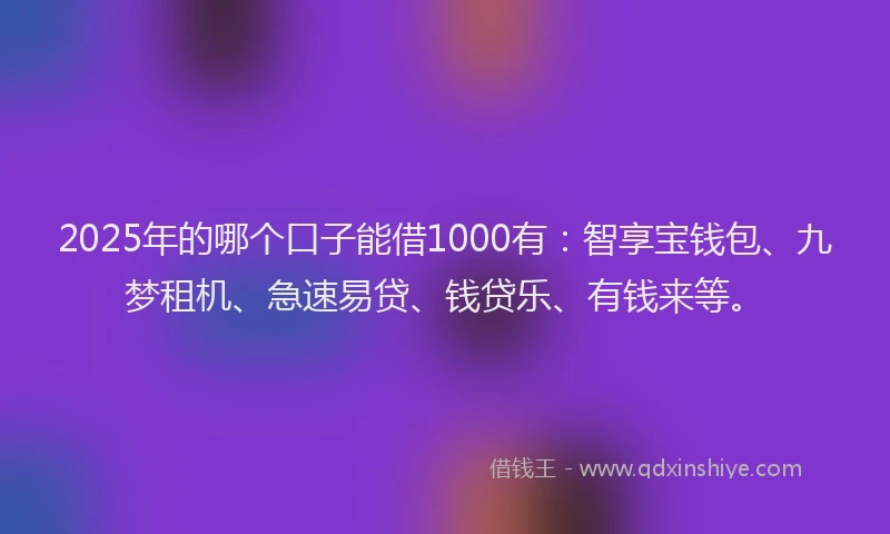 2025年的哪个口子能借1000有：智享宝钱包、九梦租机、急速易贷、钱贷乐、有钱来等。