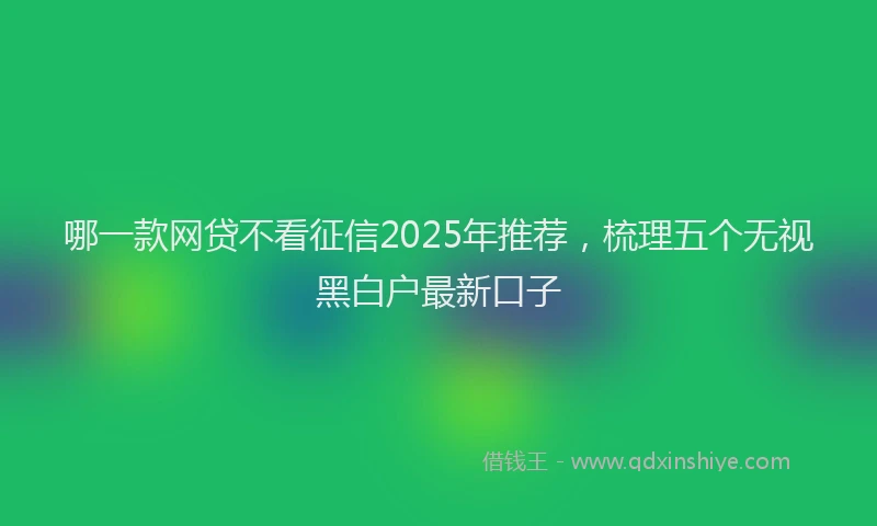 哪一款网贷不看征信2025年推荐，梳理五个无视黑白户最新口子