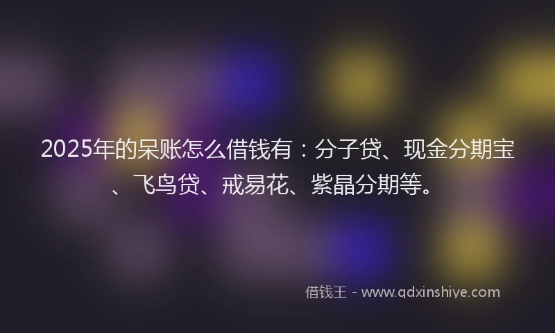 2025年的呆账怎么借钱有：分子贷、现金分期宝、飞鸟贷、戒易花、紫晶分期等。