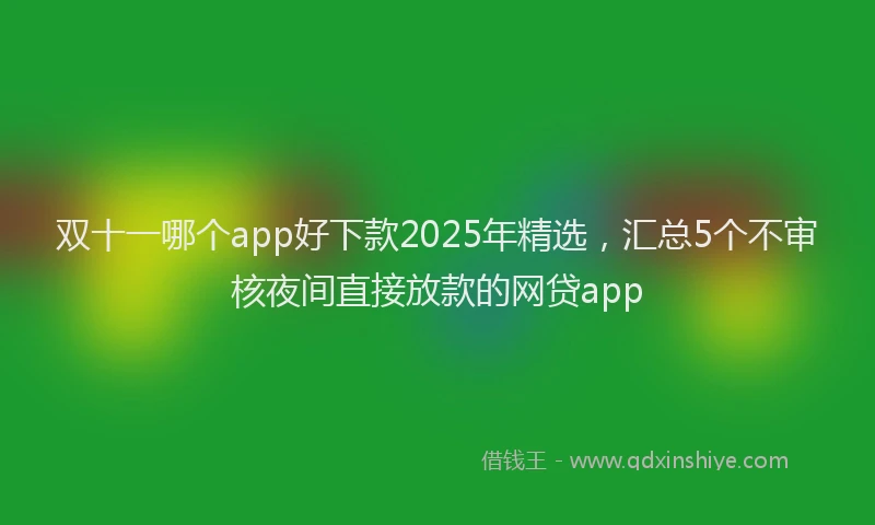 双十一哪个app好下款2025年精选，汇总5个不审核夜间直接放款的网贷app
