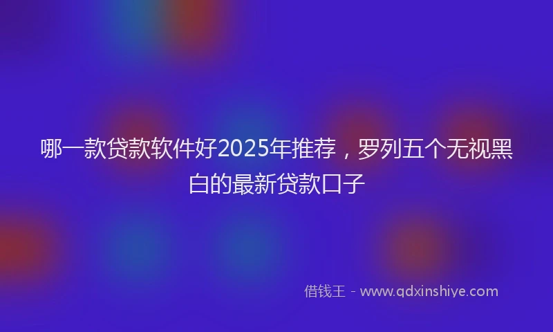 哪一款贷款软件好2025年推荐，罗列五个无视黑白的最新贷款口子