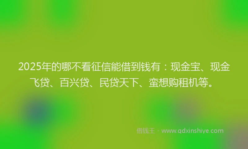 2025年的哪不看征信能借到钱有：现金宝、现金飞贷、百兴贷、民贷天下、蛮想购租机等。