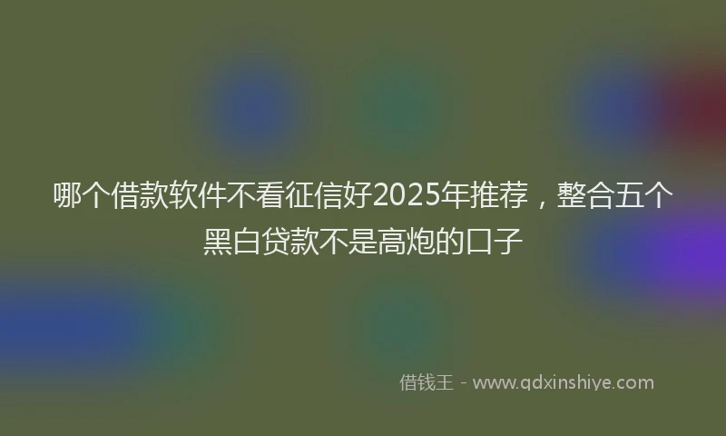 哪个借款软件不看征信好2025年推荐，整合五个黑白贷款不是高炮的口子