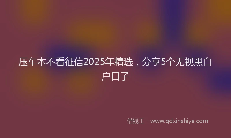 压车本不看征信2025年精选，分享5个无视黑白户口子