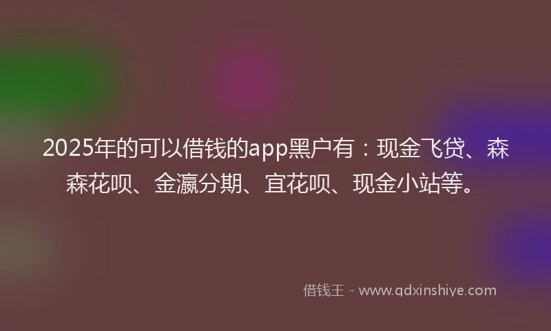 2025年的可以借钱的app黑户有：现金飞贷、森森花呗、金瀛分期、宜花呗、现金小站等。