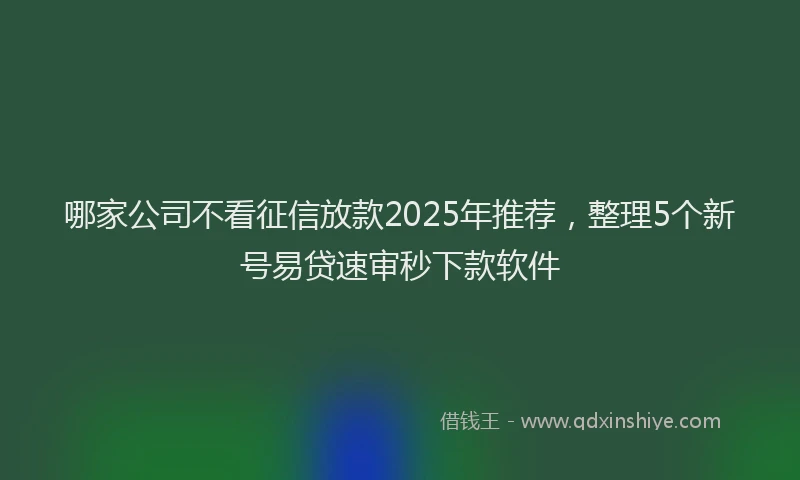 哪家公司不看征信放款2025年推荐，整理5个新号易贷速审秒下款软件