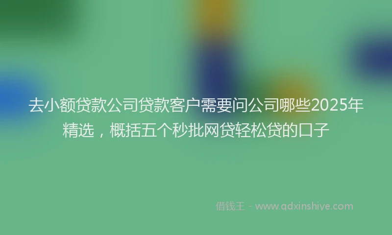 去小额贷款公司贷款客户需要问公司哪些2025年精选，概括五个秒批网贷轻松贷的口子