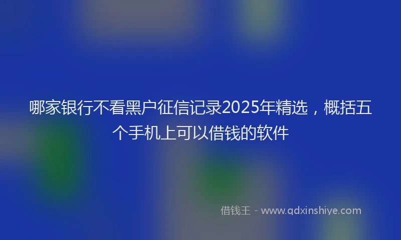 哪家银行不看黑户征信记录2025年精选，概括五个手机上可以借钱的软件