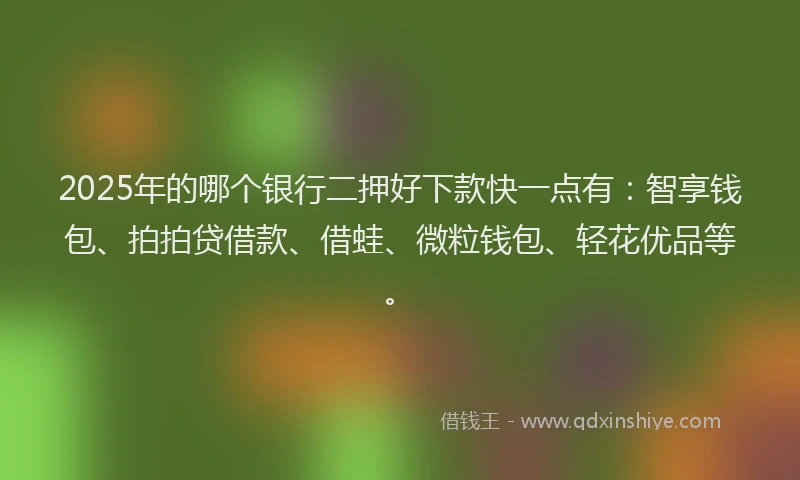 2025年的哪个银行二押好下款快一点有：智享钱包、拍拍贷借款、借蛙、微粒钱包、轻花优品等。