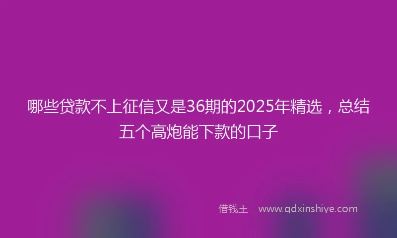 哪些贷款不上征信又是36期的2025年精选，总结五个高炮能下款的口子