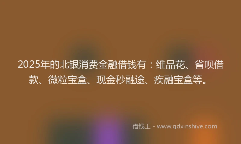 2025年的北银消费金融借钱有：维品花、省呗借款、微粒宝盒、现金秒融途、疾融宝盒等。