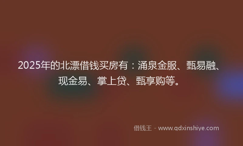 2025年的北漂借钱买房有：涌泉金服、甄易融、现金易、掌上贷、甄享购等。