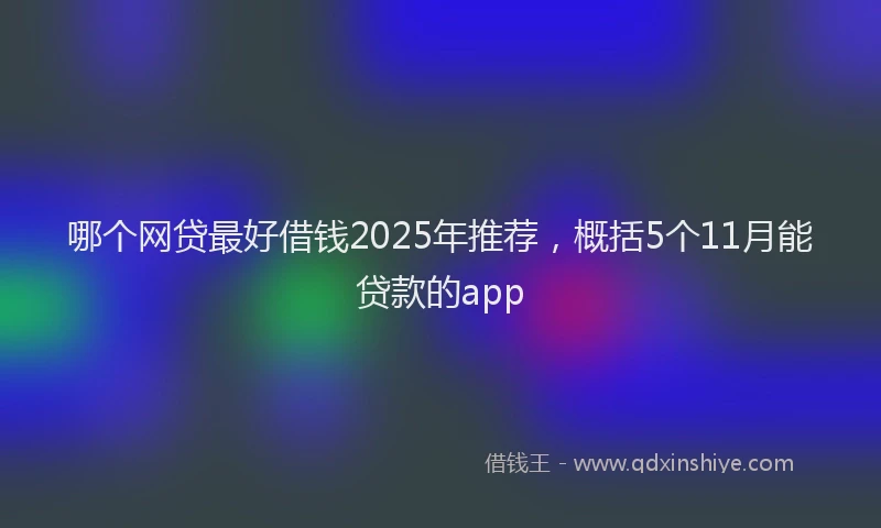 哪个网贷最好借钱2025年推荐，概括5个11月能贷款的app