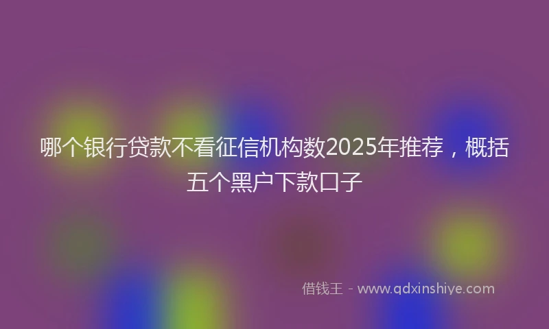 哪个银行贷款不看征信机构数2025年推荐，概括五个黑户下款口子