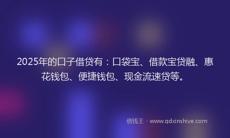 2025年的口子借贷有：口袋宝、借款宝贷融、惠花钱包、便捷钱包、现金流速贷等。