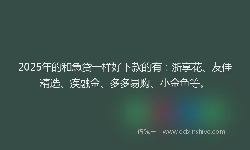 2025年的和急贷一样好下款的有：浙享花、友佳精选、疾融金、多多易购、小金鱼等。