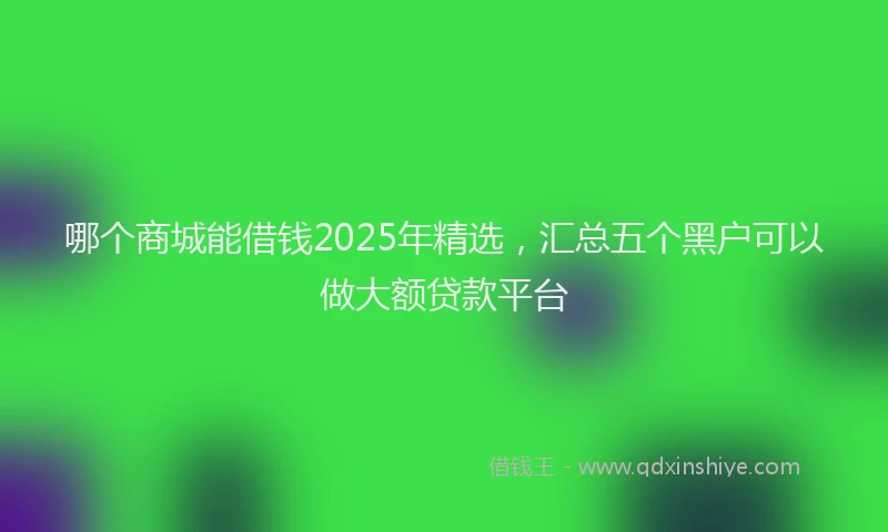 哪个商城能借钱2025年精选，汇总五个黑户可以做大额贷款平台