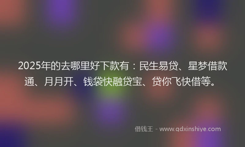 2025年的去哪里好下款有：民生易贷、星梦借款通、月月开、钱袋快融贷宝、贷你飞快借等。