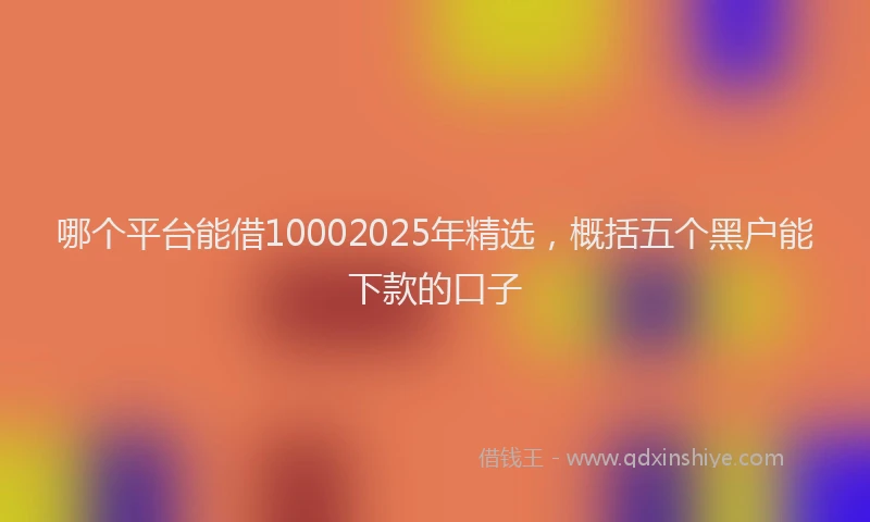哪个平台能借10002025年精选，概括五个黑户能下款的口子