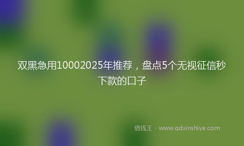 双黑急用10002025年推荐，盘点5个无视征信秒下款的口子