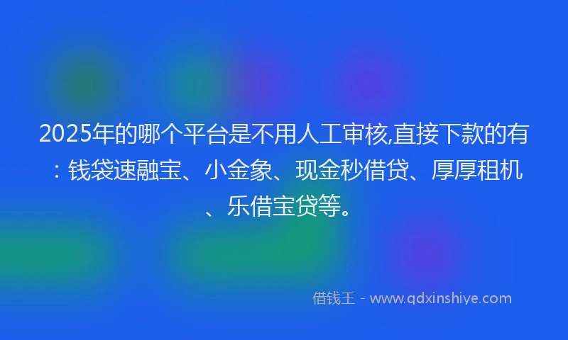 2025年的哪个平台是不用人工审核,直接下款的有：钱袋速融宝、小金象、现金秒借贷、厚厚租机、乐借宝贷等。