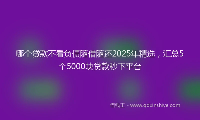 哪个贷款不看负债随借随还2025年精选，汇总5个5000块贷款秒下平台
