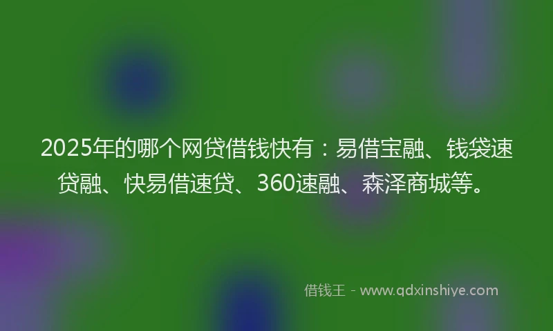 2025年的哪个网贷借钱快有：易借宝融、钱袋速贷融、快易借速贷、360速融、森泽商城等。
