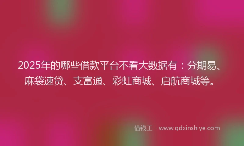 2025年的哪些借款平台不看大数据有：分期易、麻袋速贷、支富通、彩虹商城、启航商城等。
