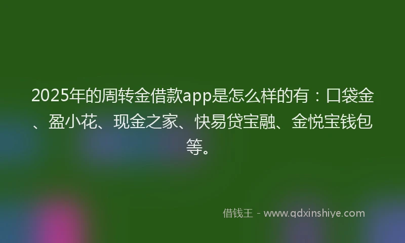 2025年的周转金借款app是怎么样的有：口袋金、盈小花、现金之家、快易贷宝融、金悦宝钱包等。
