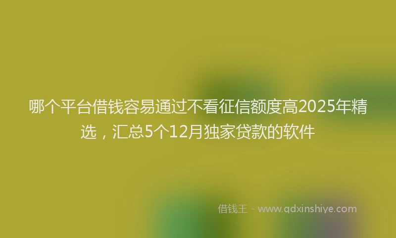哪个平台借钱容易通过不看征信额度高2025年精选，汇总5个12月独家贷款的软件
