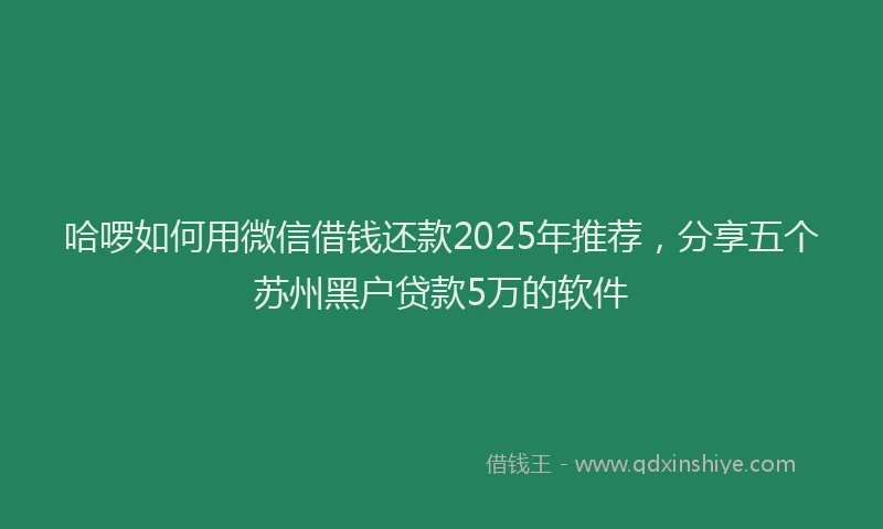 哈啰如何用微信借钱还款2025年推荐，分享五个苏州黑户贷款5万的软件