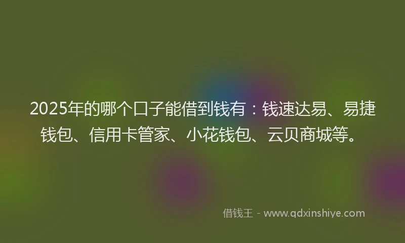 2025年的哪个口子能借到钱有：钱速达易、易捷钱包、信用卡管家、小花钱包、云贝商城等。