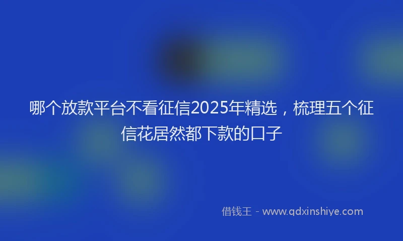哪个放款平台不看征信2025年精选，梳理五个征信花居然都下款的口子