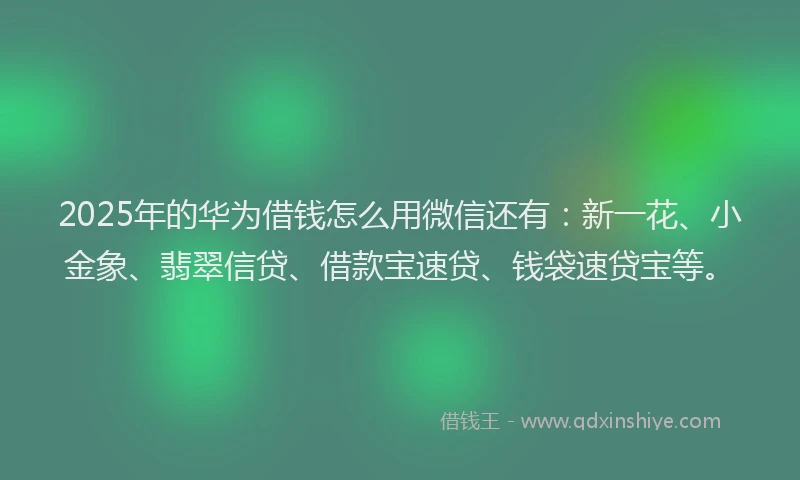 2025年的华为借钱怎么用微信还有：新一花、小金象、翡翠信贷、借款宝速贷、钱袋速贷宝等。