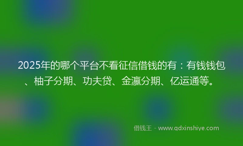 2025年的哪个平台不看征信借钱的有：有钱钱包、柚子分期、功夫贷、金瀛分期、亿运通等。