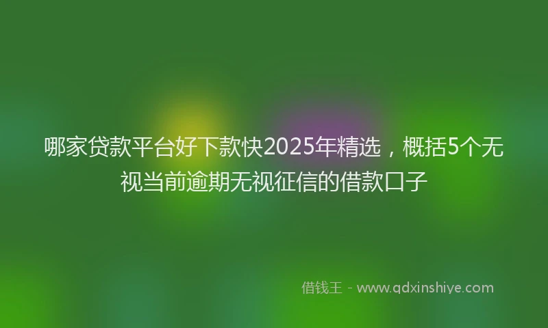 哪家贷款平台好下款快2025年精选，概括5个无视当前逾期无视征信的借款口子