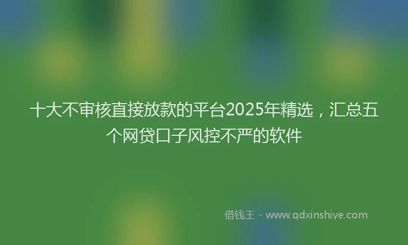 十大不审核直接放款的平台2025年精选，汇总五个网贷口子风控不严的软件