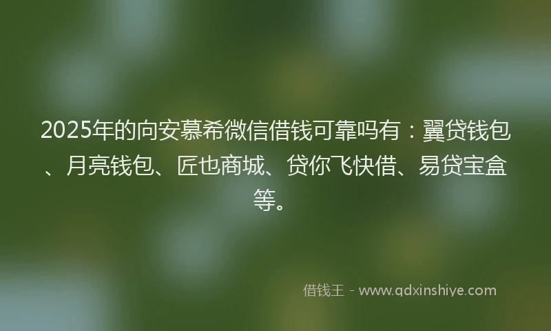 2025年的向安慕希微信借钱可靠吗有：翼贷钱包、月亮钱包、匠也商城、贷你飞快借、易贷宝盒等。