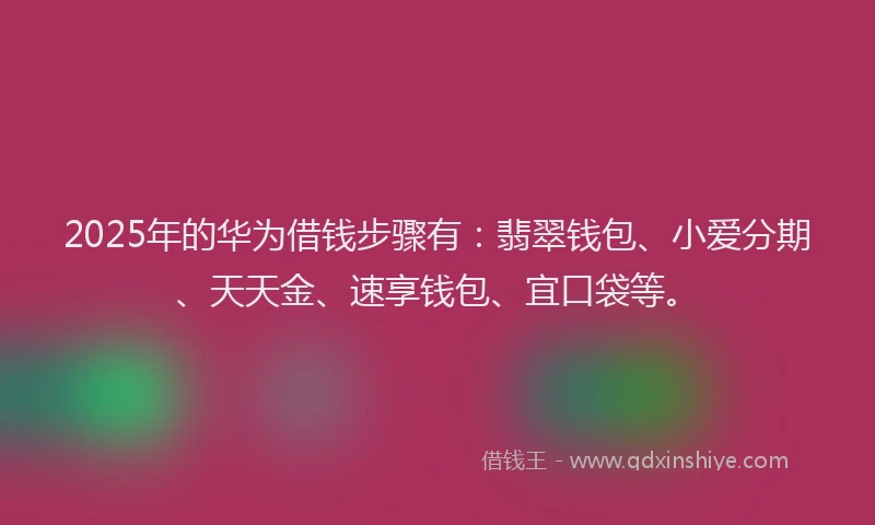 2025年的华为借钱步骤有：翡翠钱包、小爱分期、天天金、速享钱包、宜口袋等。