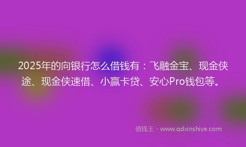 2025年的向银行怎么借钱有：飞融金宝、现金侠途、现金侠速借、小赢卡贷、安心Pro钱包等。
