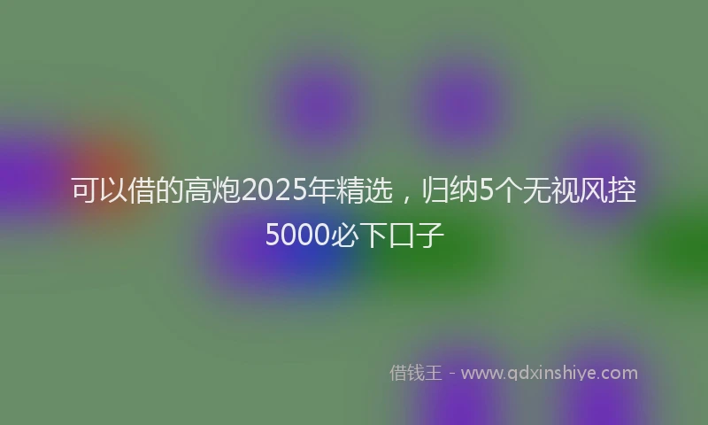 可以借的高炮2025年精选，归纳5个无视风控5000必下口子