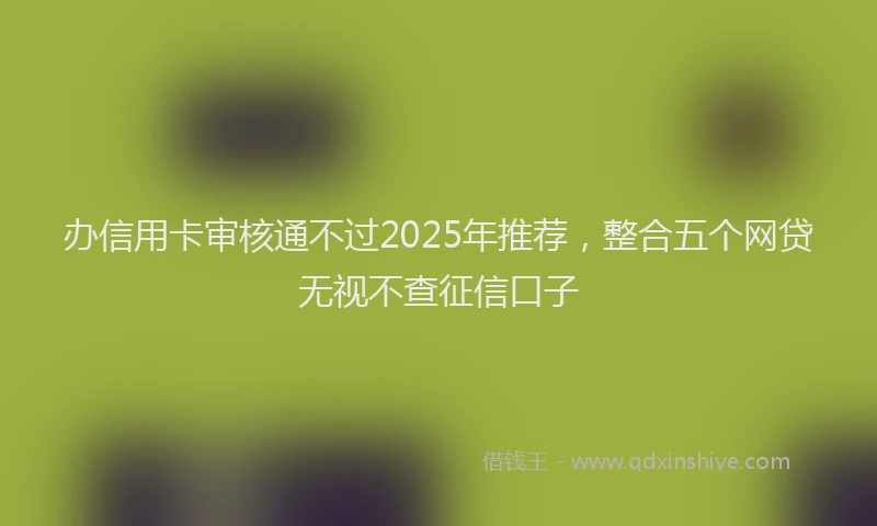 办信用卡审核通不过2025年推荐，整合五个网贷无视不查征信口子