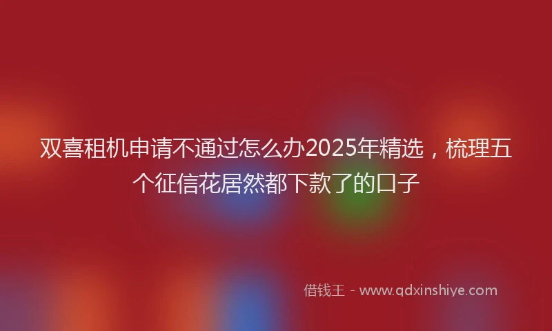 双喜租机申请不通过怎么办2025年精选，梳理五个征信花居然都下款了的口子